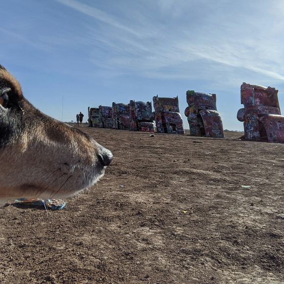 Meet your Posher, Arielle - Picture 1 of 1